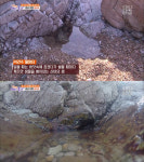 “바다에서 샘물이 나온다?”…삽시도의 매력 BEST3