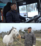 못말리는 말 사랑…제주 ‘말테우리’ 하르방