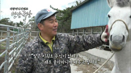 못말리는 말 사랑…제주 ‘말테우리’ 하르방