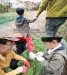 “손주가 뭐라고”…‘할빠’의 좌충우돌 육아 도전