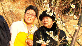 딸기밭 세 자매, ‘숙 시스터즈’를 아시나요