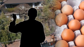 박 전 대통령 자택에 달걀 던진 30대 남성 경찰에 연행