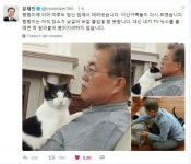 文 대통령 애견 ‘마루’ 靑 입성…‘퍼스트 독’ 탄생