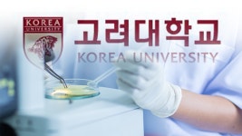 고려대 공학관 유독가스 유출…학생 대피 소동