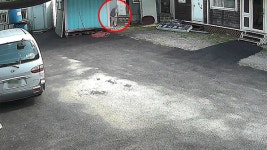 공장 숙소 침입해 금품 훔친 40대 구속