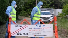 파주 AI 발생농장 토종닭 650마리 유통