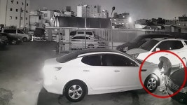 “차 타게 해줄께” 렌터카 영업소장이 후배 꼬드겨 보험사기