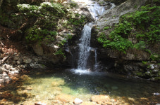 원시림의 전형 ‘칠선계곡’…‘예약탐방제’의 결실