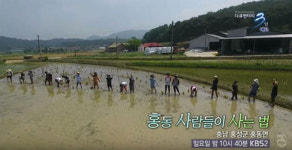 ‘오리농법’ 최초 도입…이 마을이 사는 법