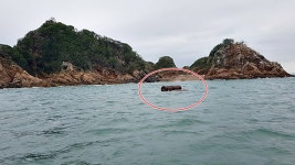 고장으로 표류하던 보트·낚시어선 해경에 구조