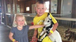 동물농장 다녀온 美남매 대장균 감염…동생 사망·오빠 중태