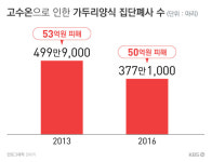 폭염에 뜨거워지는 서해안…양식장 비상