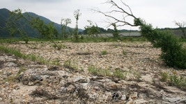 국토부, 4대강 주변 방치 공원 철거