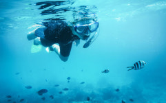 태국 푸켓서 스노클링하던 한국인 체포…무슨 일이