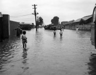 [포토] 50년 전 여름은?…기록으로 보는 ‘여름나기’