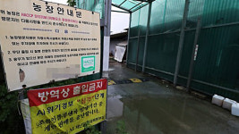 정부, 전국 산란계 농장 1천430여곳 전수조사…민관합동 TF 구성