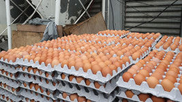 ‘살충제 달걀’ 파문 확산…소비자들이 우선 챙겨야 할 점은?