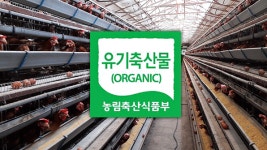 “유기축산 농가 달걀 상대적으로 안전”