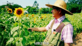 계절마다 바뀌는 농장…한 서울 토박이의 집념