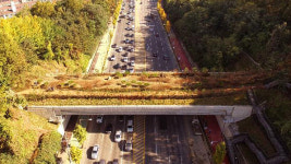 양재대로 녹지연결로 개통…매봉역∼구룡산 녹음을 걷는다