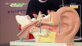 나의 청력 상태는?…난청 자가 진단법