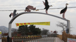 전남 포함 6개 시·도 가금류농장 등 4만곳 24시간 이동중지명령