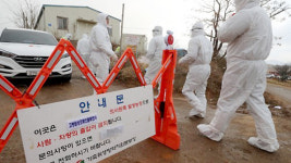 나주서 AI 검출…전남 일부·광주광역시 일시 이동중지 발령