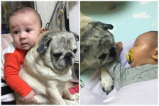 [K스타] 윌리엄-벤틀리 형제의 ‘같은 상황 다른 느낌’