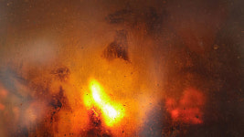 파주 양계장 불…병아리 3만 마리 폐사