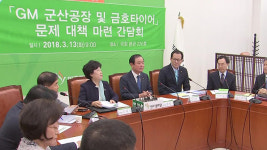 평화당, 정부와 GM 군산공장 폐쇄·금호타이어 문제 논의