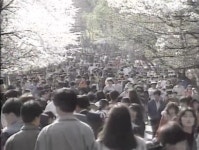 20년 전 뉴스가 전하는 “우리의 하늘색은 이렇습니다”