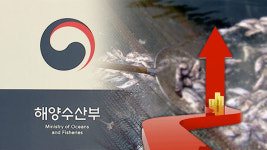 1분기 수산물 수출액 5억6천만 달러…역대 최고치