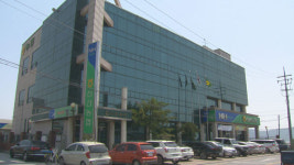 20억 땅이 하루 만에 44억? 선산 농협의 수상한 땅 거래