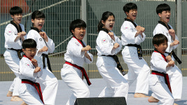 “태권도를 국민 스포츠로”…프로 스포츠화도 추진