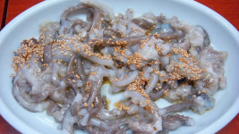 [글로벌 돋보기] ‘낙지탕탕이’는 공포?…“저예요. 고기가 아니라구요”