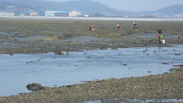 2018 화성호 국제심포지엄 열려