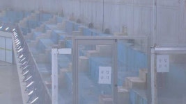 [단독] “내년 100회 전국체전, 수영은 서울에서 못 연다”