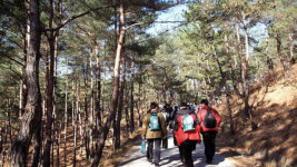 北, 금강산에 워터파크 등 관광시설 구상…투자유치 나서
