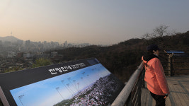 서울시 비상저감조치 적용 일부 중단…5등급 차량 운행 허용
