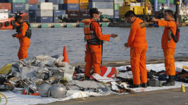 [글로벌 돋보기] 최신기·베테랑 기장·의문의 추락사고…컴퓨터 자동 조종의 비극인가?