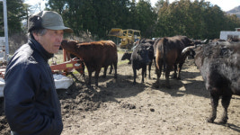 동일본대지진 8년…한해 단 두 번만 허락되는 만남