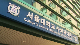 서울대 동물실험윤리위원장 사임…“동물실험·인사압력 ‘내홍’에 책임”