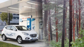 “수소차 13만대 보급하면, 소나무 1억7천만그루 효과”