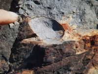 세계 최대 공룡 발자국 화석 산지…보존될 수 있을까