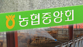 농협, 축산 사업장 특별 위생점검 실시