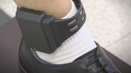 충남 부여 야산서 전자발찌 찬 남성과 우즈베키스탄 여성 숨진 채 발견