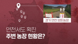 [아프리카돼지열병] 경기 연천도 확진…지도로 본 주변 농장 상황