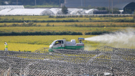 아프리카돼지열병 확진 전 잠복기에 돼지 198마리 출하…“시중 유통 없어”