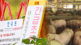 [김경래의 최강시사] 전문가 “아프리카돼지열병 발생 농가 취재진 방문도 위험”