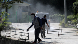 이동제한 조치로 전국 돼지 도매시장 12곳 중 10곳 휴장